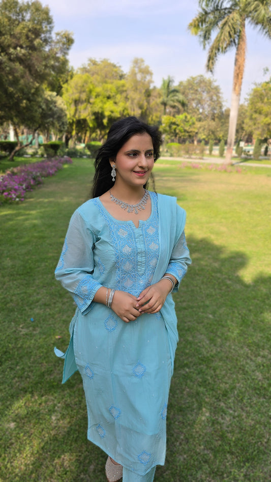 Light blue handmade chikankari with emblishment partywear outfit .